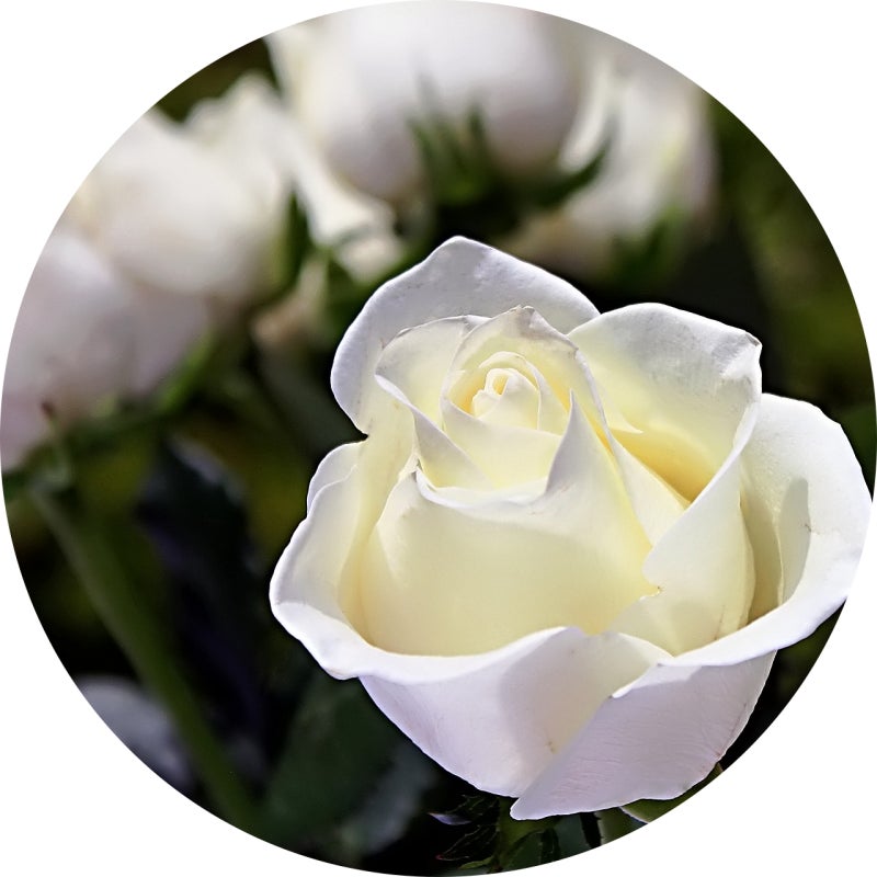 장례식꿈 해몽 추가 정리, 상복입는꿈·관보는꿈·우는꿈까지 세부 의미