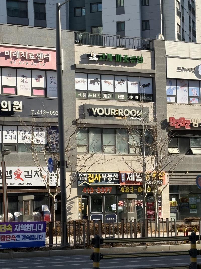 ✂️ 안산 초지역 미용실 추천 | 유어룸헤어 안산 초지점 후기 (뿌리펌 + 커트) 내돈내산
