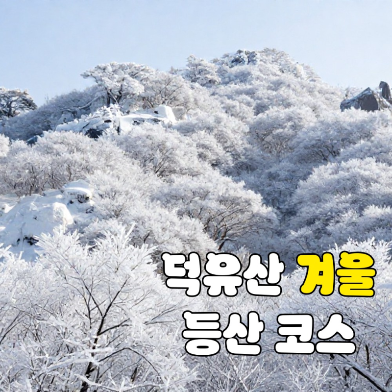100대 명산 덕유산, 초보부터 종주까지 완벽 등산 가이드