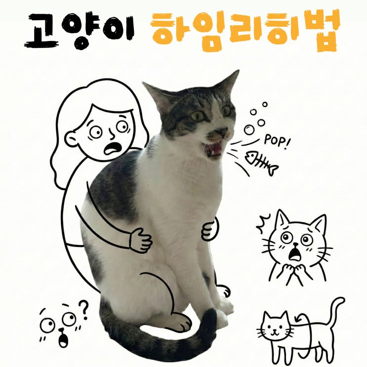  고양이 목에 뭐 걸렸을때, 무조건 하임리히부터 하면 안돼요