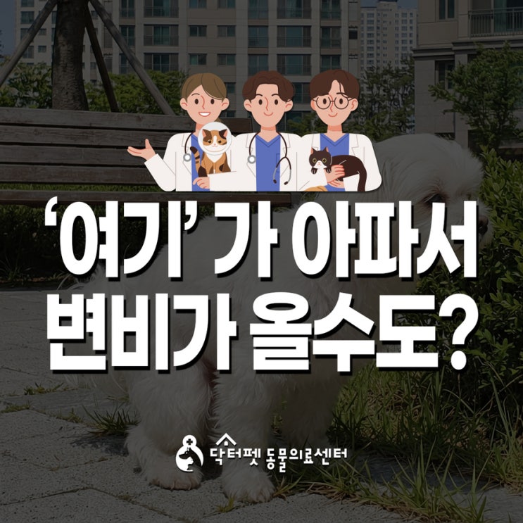  강아지 고양이 변비 '여기'가 아파서 인지도 몰라요