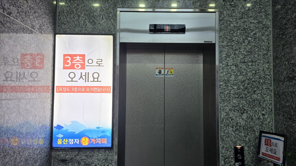 울산정자참가자미 사진 3