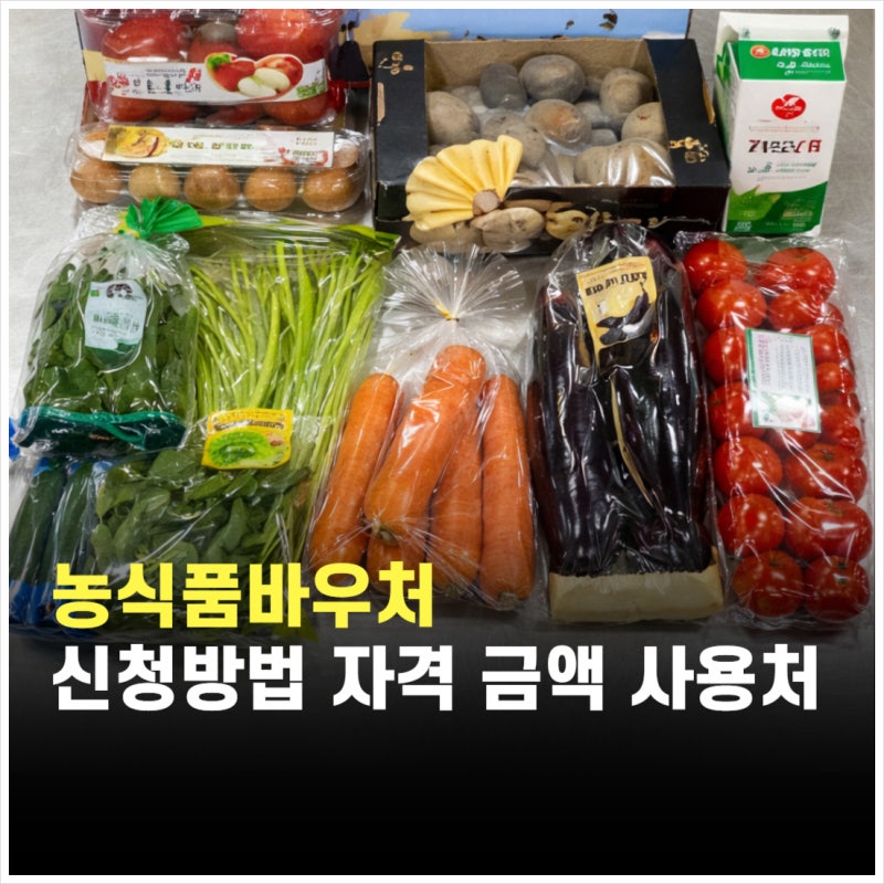 농식품바우처 자격 조건 홈페이지 신청방법 금액 카드 사용처 누리집 2026