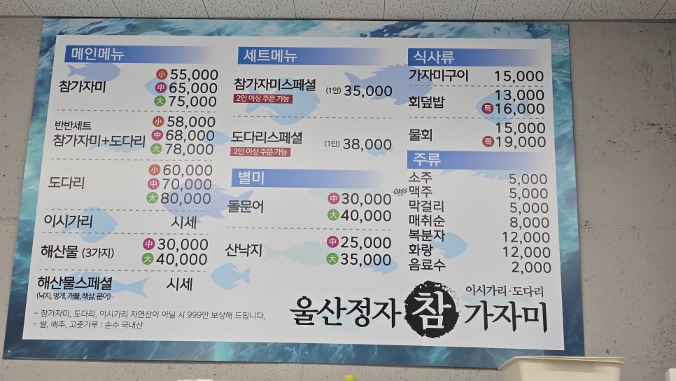 울산정자참가자미 사진 6