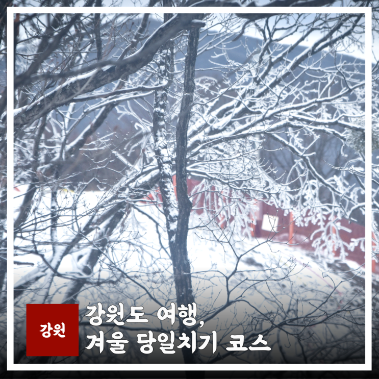  강원도여행 겨울 당일치기 주말에 안망하는 코스 짜기