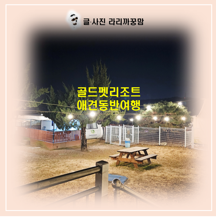  "글램핑부터 카라반까지!" 취향대로 고르는 애견펜션 골드펫리조트