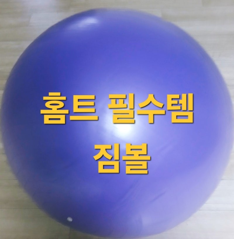 짐볼 하나로 홈트하기 ㅣ스트레칭부터 자세교정 ㅣ 홈트 필수템 짐볼~