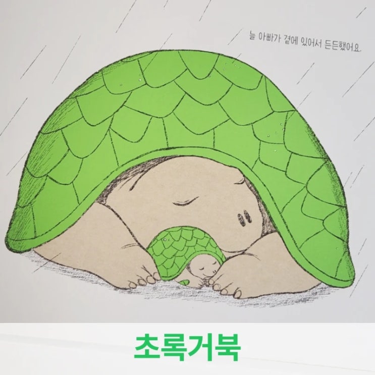  초록 거북, 아이에게 읽어주다 엄마 눈물샘 터진 그림책