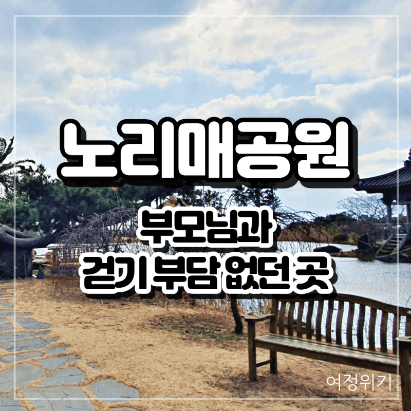 사진 9