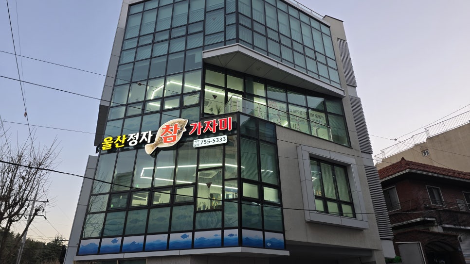 울산정자참가자미 사진 1