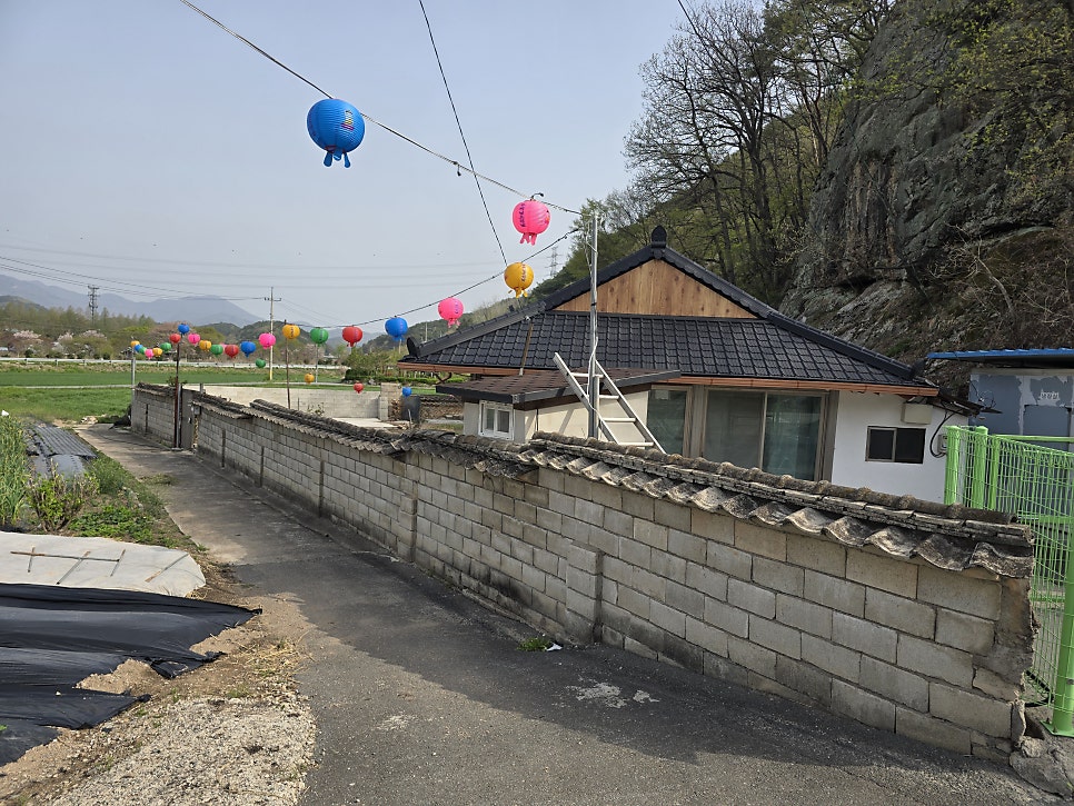 성미산 사진 1
