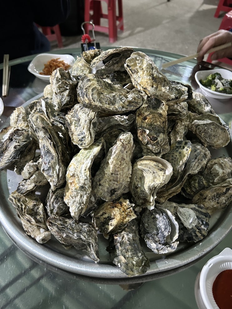  [진도맛집] 신선한 굴을 쌓아놓고 먹을 수 있는 '삼거리굴집' :: 굴찜, 굴전, 굴떡국