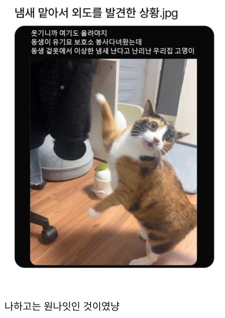  내 남자에게서 낯선 여자의 향기가 난다.jpg