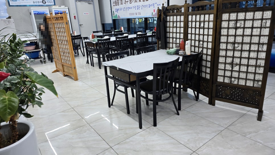 울산정자참가자미 사진 5