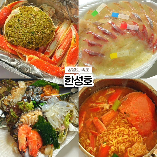  속초 대포항 회센터 맛집 추천, 한성호 회 대게 포장 횟집 내돈내산 후기