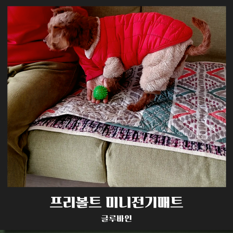  해외여행 필수품! 글루바인 프리볼트 미니전기매트 변압기 없이 쇼파에서도 OK