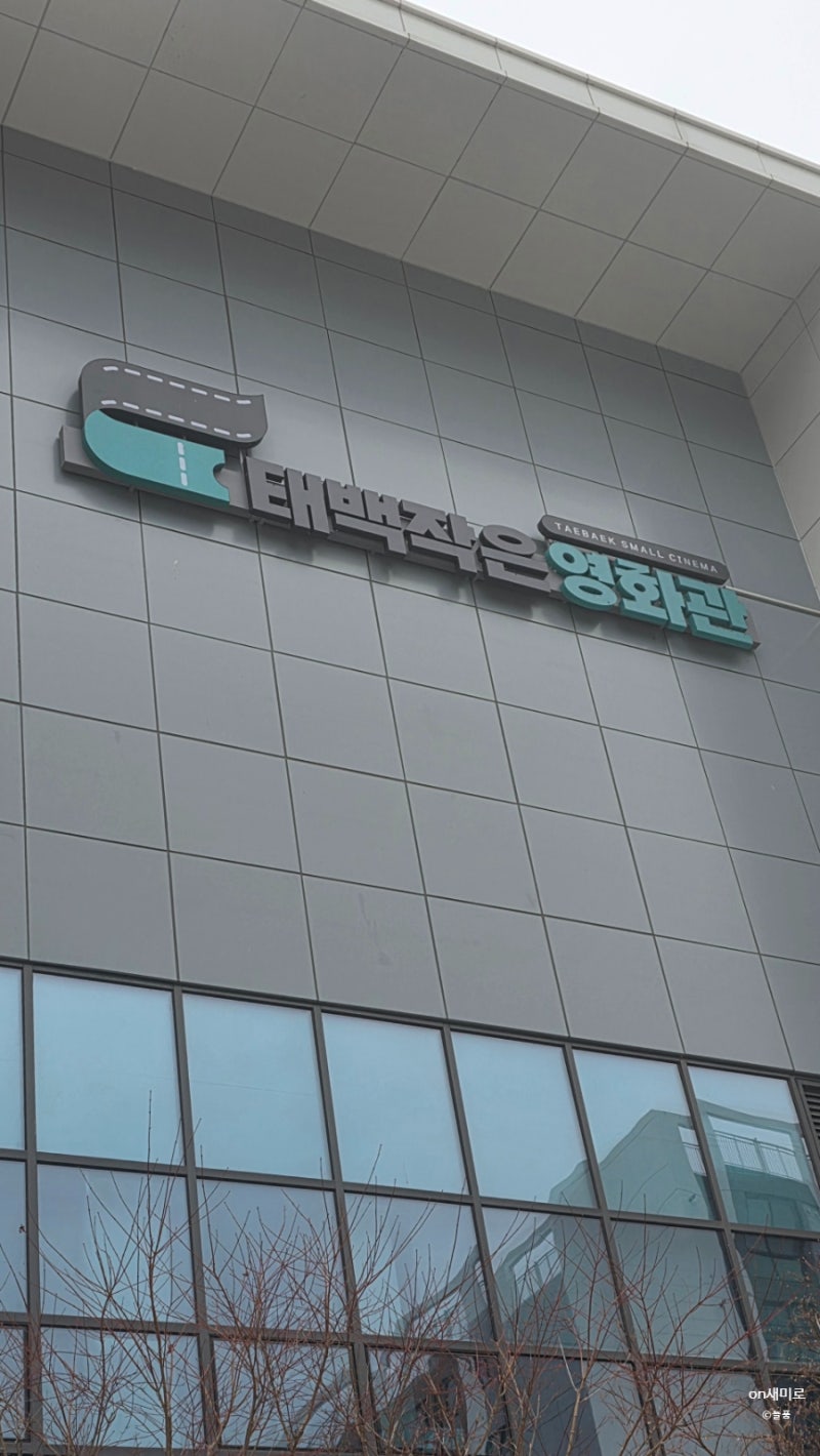 태백가볼만한곳 | 태백여행 태백작은영화관 만약에우리 관람 후기 with 매점