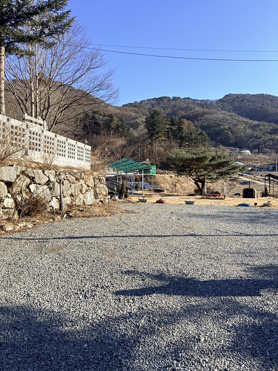 노루목68펜션 사진 2