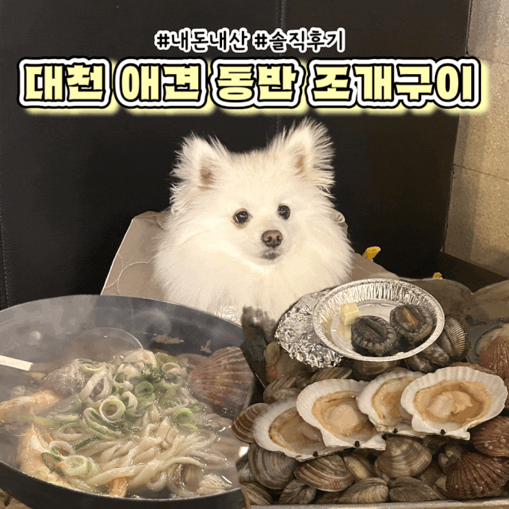  대천 애견 동반 식당 칼국수 조개구이 맛집 조개까는남자 내돈내산