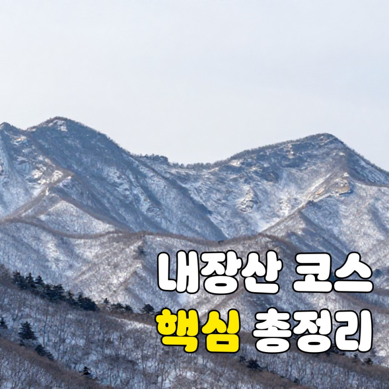 100대 명산 내장산 등산 코스별 완벽 분석 가이드