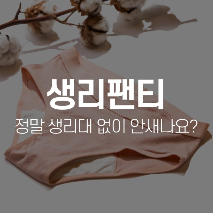  생리팬티,정말 생리대 없이 안새나요?