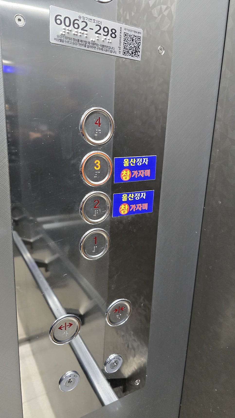 울산정자참가자미 사진 4