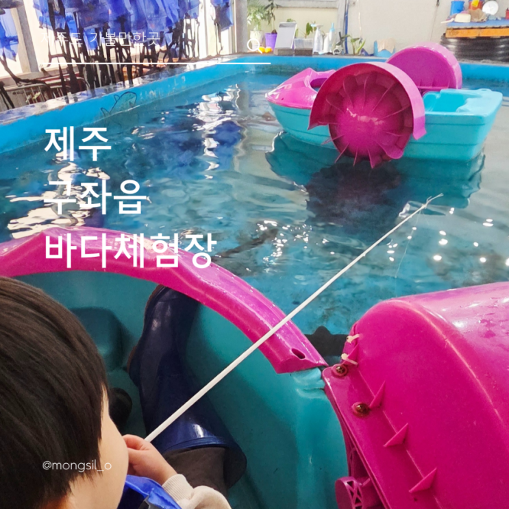  제주도 구좌읍 아이랑 가볼만한곳 바다체험장 수족관 탐앤탐스 덤!!!