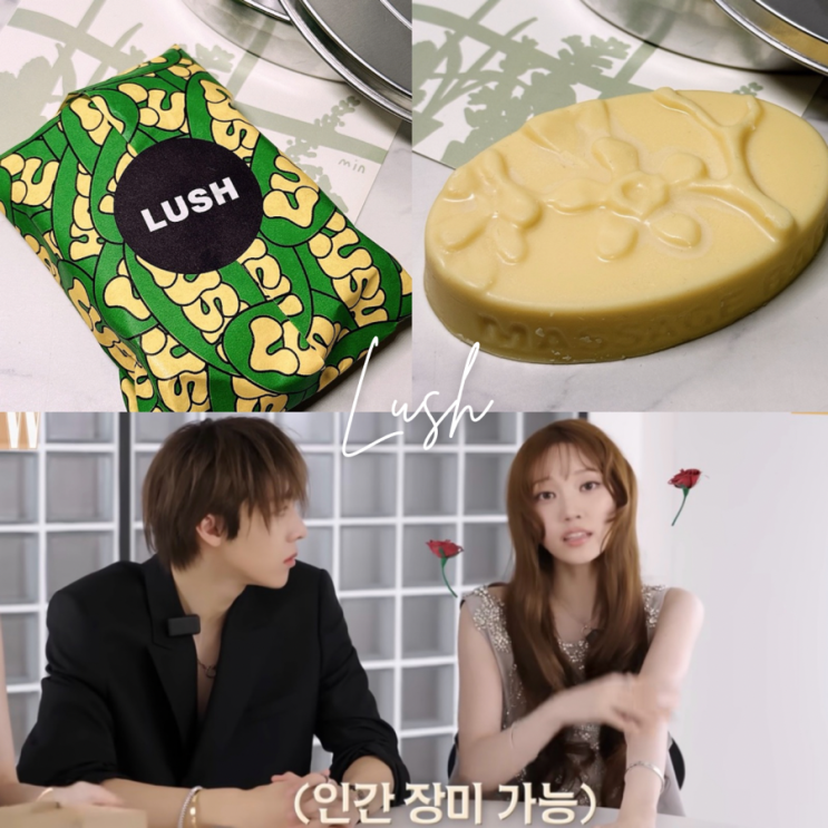  영서 마사지바 품절 대란? 러쉬 마사지바 이치피치 내돈내산 괄사 활용 후기