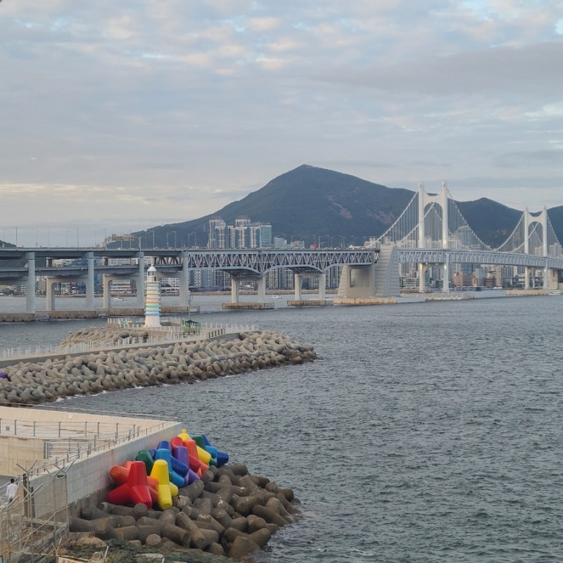 부산역 렌트카 쏘카 비용 예약방법 부산여행지 추천