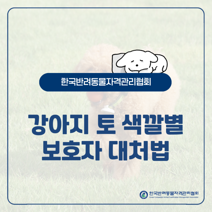  강아지 토 색깔로 확인하는 건강 상태와 대처법