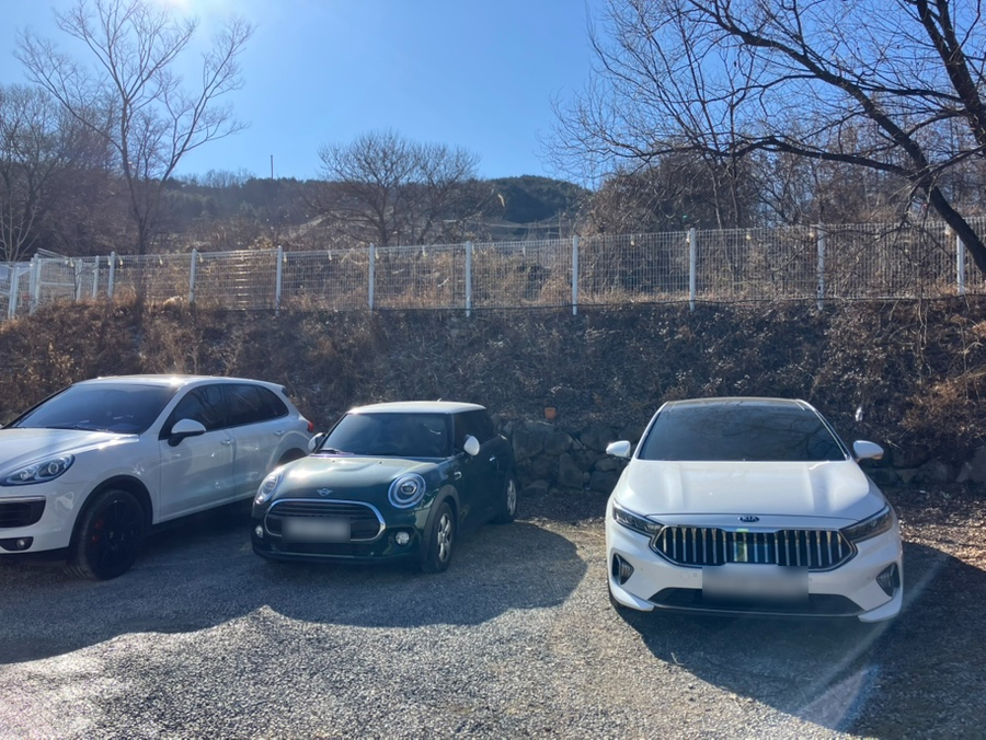 피피비피 사진 4