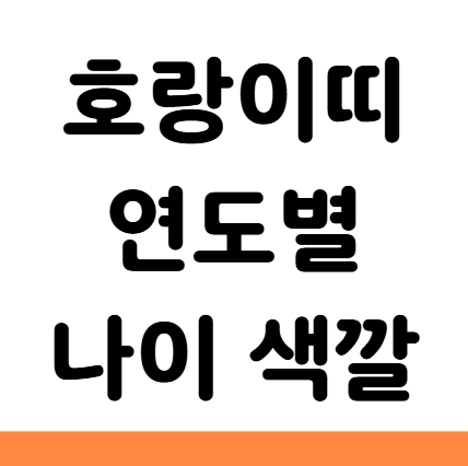  호랑이띠 년생 나이 연도 2026 색깔 직업