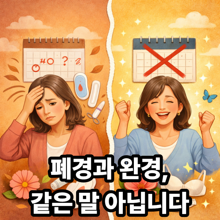  폐경과 완경의 차이, 헷갈리기 쉬운 개념 한 번에 정리