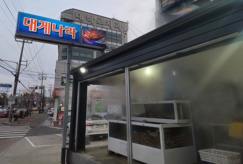 대게나라 사진 1