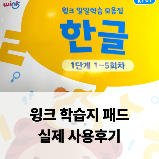  윙크 학습지 패드 1년 사용하며 느낀 실제 변화와 솔직한 후기