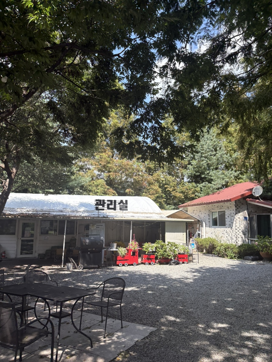 콤마 사진 1