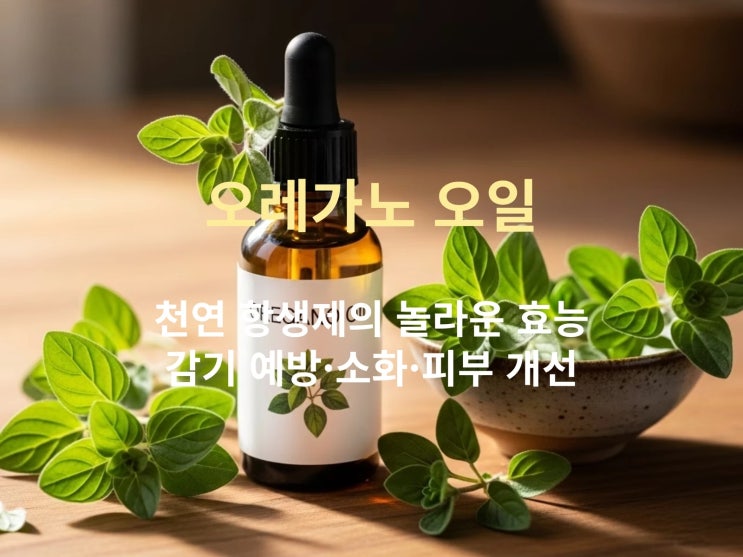  오레가노 오일 천연 항생제의 놀라운 효능: 감기 예방·소화·피부 개선