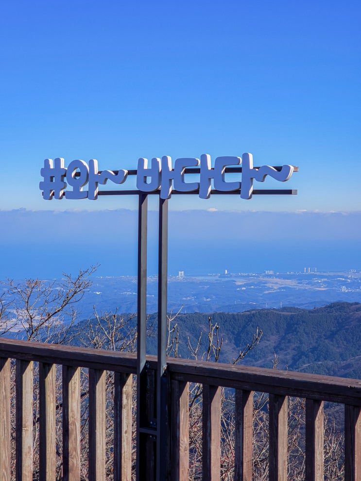  평창 겨울 가볼만한곳, 대관령 삼양라운드힐(삼양목장, 양떼먹이주기체험, 화이트 시즌)