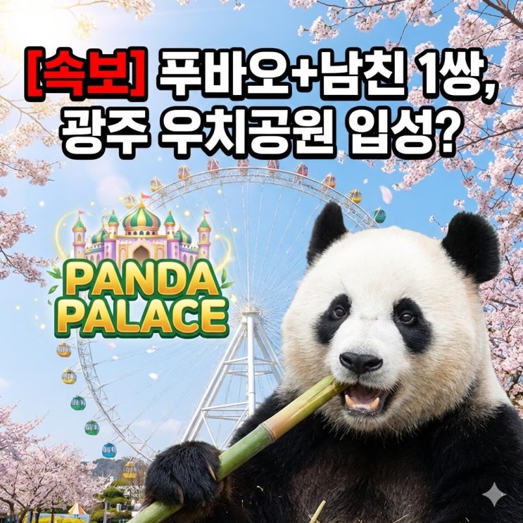  "남자친구와 함께 옵니다" 푸바오 광주행 확정? 기후부 장관이 밝힌 실체,2027년 재회 일정 총정리