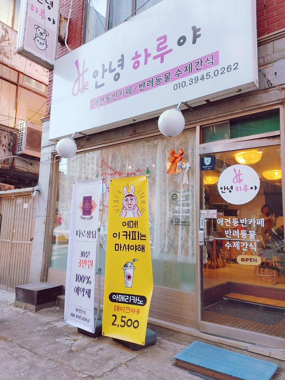 안녕하루야 사진 2