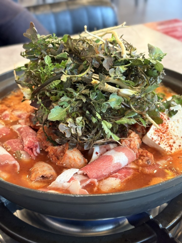  포항 문덕 맛집 소고기 곱창전골 추천 효자동곱닭 오천문덕점