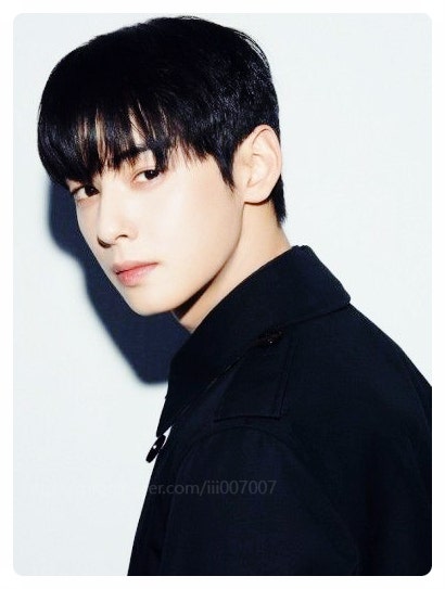 차은우 200억 추징금 논란! 강화도 장어집과 유한회사의 비밀 (페이퍼컴퍼니 의혹 총정리)