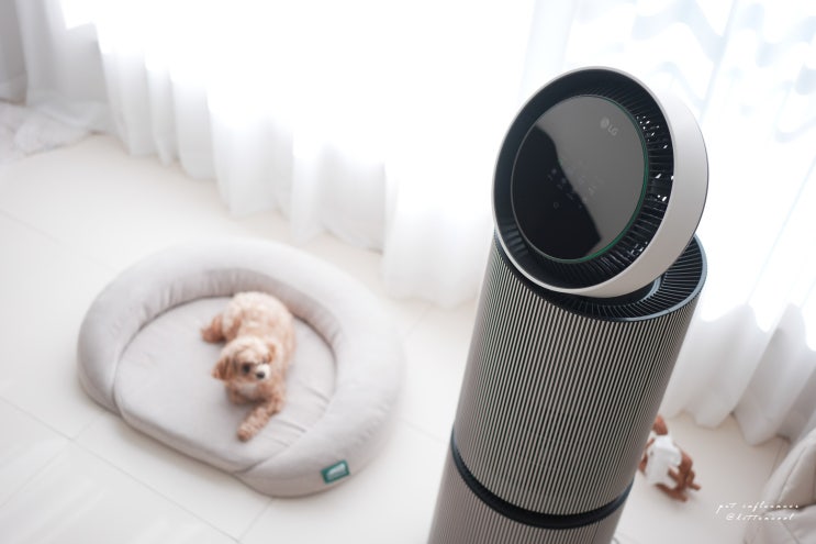  고양이 강아지 냄새제거 효과적인 LG 퓨리케어 AI 오브제콜렉션 360 공기청정기 M7