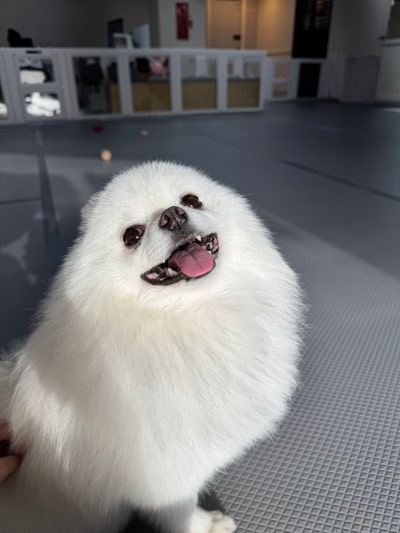사진 6