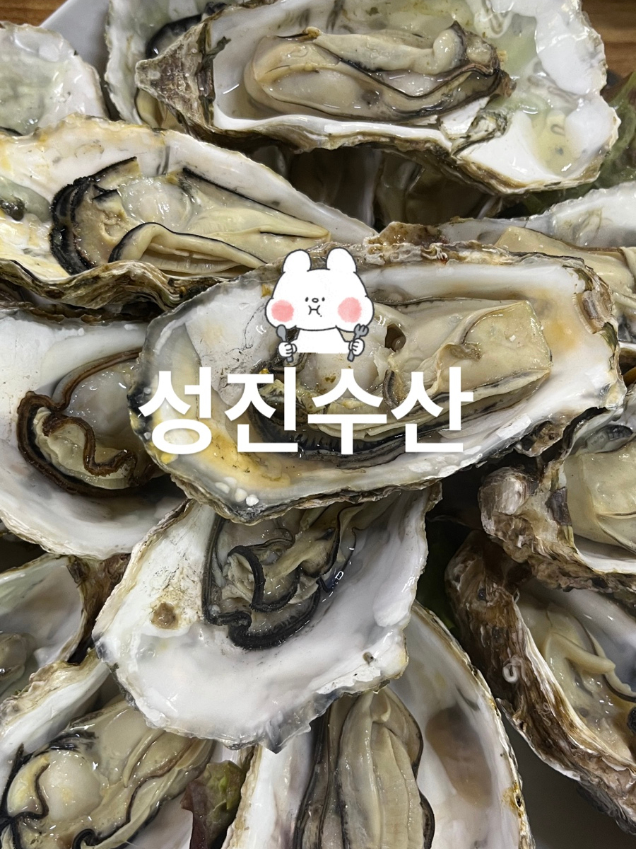 성진수산 사진 1