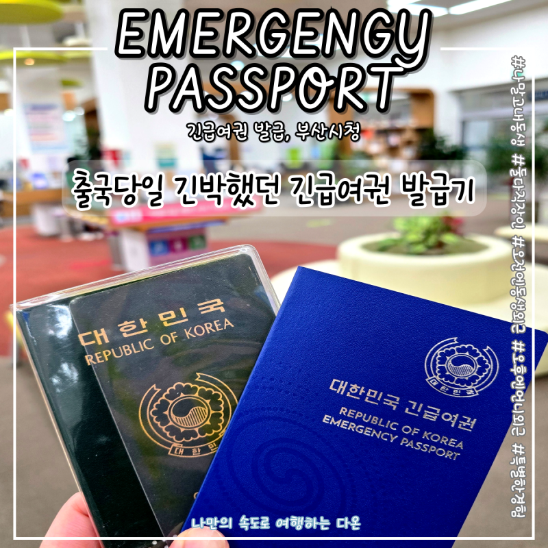 출국 당일 부산 시청 긴급 여권 발급 세부 보홀 동남아 여행 6개월 필수 체크