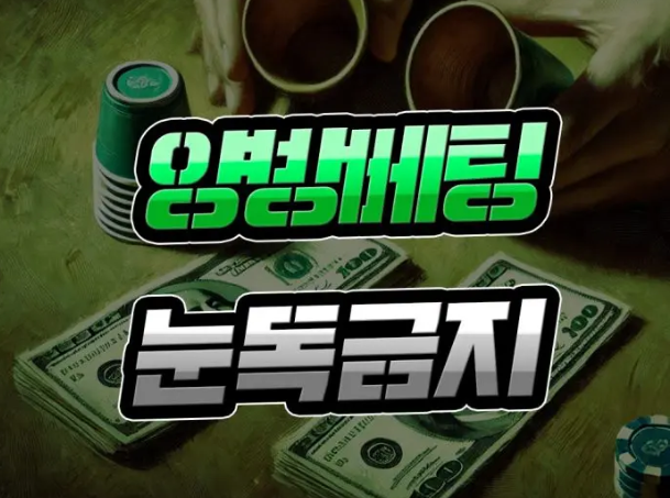  양방 배팅 [매우 큰 리스크] 눈독 들이지 마세요!