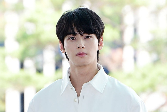 ‘200억 탈세 의혹’ 차은우, <b>판빙빙</b>·호날두 이어 전 세계... 