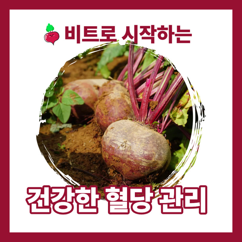 당뇨이신 부모님 위해 공부한 '레드비트'의 효능! 혈당 낮추는 법과 안전한 섭취법