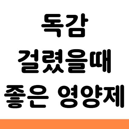  독감에 좋은 영양제 프로바이오틱스 종합비타민 오메가3 비타민D 먹는법